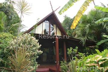 Coconut Grove 14